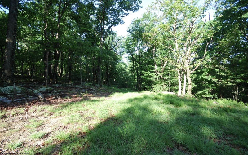 Lot 23 Long Lick Run Road, Baker, West Virginia 26801, ,Lots/land,For Sale,Long Lick Run,10165249