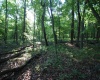 Lot 23 Long Lick Run Road, Baker, West Virginia 26801, ,Lots/land,For Sale,Long Lick Run,10165249