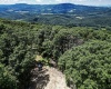 Lot 23 Long Lick Run Road, Baker, West Virginia 26801, ,Lots/land,For Sale,Long Lick Run,10165249