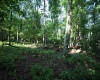 Lot 23 Long Lick Run Road, Baker, West Virginia 26801, ,Lots/land,For Sale,Long Lick Run,10165249