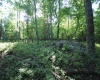 Lot 23 Long Lick Run Road, Baker, West Virginia 26801, ,Lots/land,For Sale,Long Lick Run,10165249