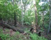 Lot 23 Long Lick Run Road, Baker, West Virginia 26801, ,Lots/land,For Sale,Long Lick Run,10165249