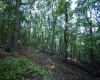 Lot 23 Long Lick Run Road, Baker, West Virginia 26801, ,Lots/land,For Sale,Long Lick Run,10165249