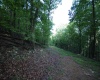 Lot 23 Long Lick Run Road, Baker, West Virginia 26801, ,Lots/land,For Sale,Long Lick Run,10165249