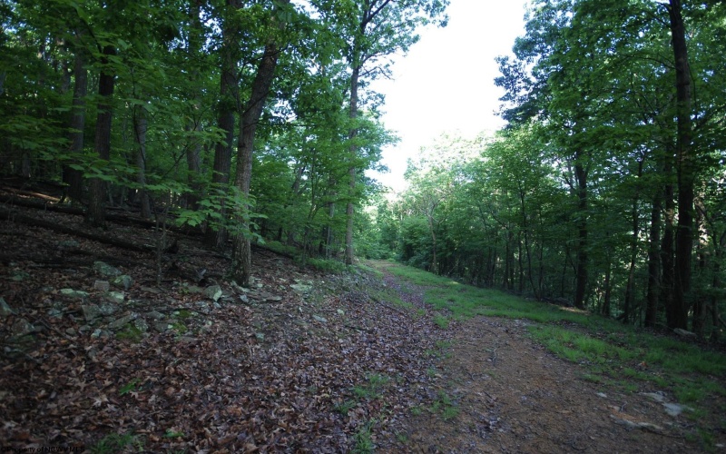 Lot 23 Long Lick Run Road, Baker, West Virginia 26801, ,Lots/land,For Sale,Long Lick Run,10165249