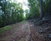 Lot 23 Long Lick Run Road, Baker, West Virginia 26801, ,Lots/land,For Sale,Long Lick Run,10165249