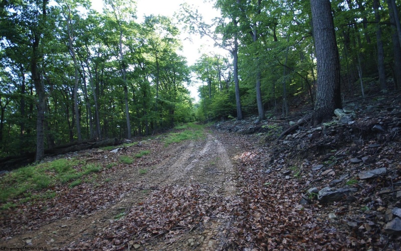 Lot 23 Long Lick Run Road, Baker, West Virginia 26801, ,Lots/land,For Sale,Long Lick Run,10165249