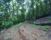 Lot 23 Long Lick Run Road, Baker, West Virginia 26801, ,Lots/land,For Sale,Long Lick Run,10165249