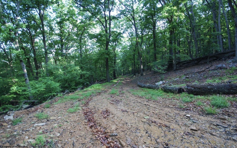 Lot 23 Long Lick Run Road, Baker, West Virginia 26801, ,Lots/land,For Sale,Long Lick Run,10165249