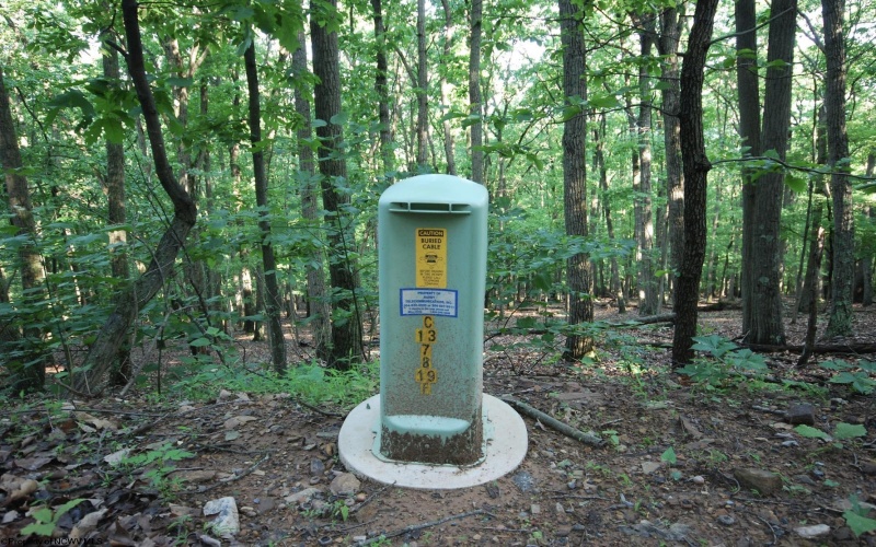 Lot 23 Long Lick Run Road, Baker, West Virginia 26801, ,Lots/land,For Sale,Long Lick Run,10165249