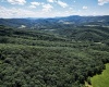 Lot 23 Long Lick Run Road, Baker, West Virginia 26801, ,Lots/land,For Sale,Long Lick Run,10165249