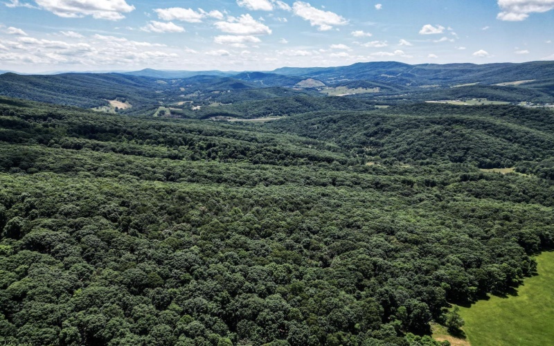 Lot 23 Long Lick Run Road, Baker, West Virginia 26801, ,Lots/land,For Sale,Long Lick Run,10165249