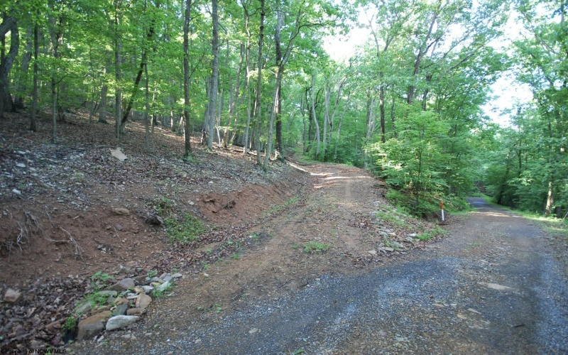 Lot 23 Long Lick Run Road, Baker, West Virginia 26801, ,Lots/land,For Sale,Long Lick Run,10165249