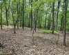 Lot 23 Long Lick Run Road, Baker, West Virginia 26801, ,Lots/land,For Sale,Long Lick Run,10165249
