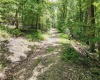Lot 23 Long Lick Run Road, Baker, West Virginia 26801, ,Lots/land,For Sale,Long Lick Run,10165249