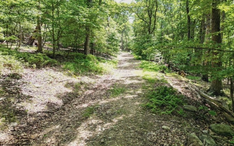 Lot 23 Long Lick Run Road, Baker, West Virginia 26801, ,Lots/land,For Sale,Long Lick Run,10165249