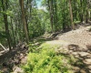Lot 23 Long Lick Run Road, Baker, West Virginia 26801, ,Lots/land,For Sale,Long Lick Run,10165249