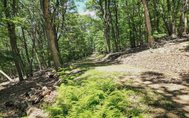 Lot 23 Long Lick Run Road, Baker, West Virginia 26801, ,Lots/land,For Sale,Long Lick Run,10165249