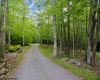 2256 Cabin Mountain Road, Davis, West Virginia 26260, 5 Bedrooms Bedrooms, 10 Rooms Rooms,3 BathroomsBathrooms,Single Family Detached,For Sale,Cabin Mountain,10165270