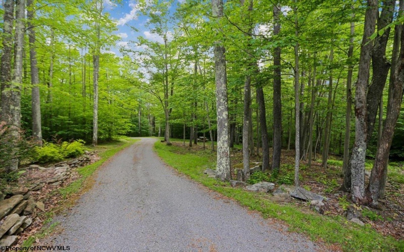 2256 Cabin Mountain Road, Davis, West Virginia 26260, 5 Bedrooms Bedrooms, 10 Rooms Rooms,3 BathroomsBathrooms,Single Family Detached,For Sale,Cabin Mountain,10165270