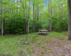 2256 Cabin Mountain Road, Davis, West Virginia 26260, 5 Bedrooms Bedrooms, 10 Rooms Rooms,3 BathroomsBathrooms,Single Family Detached,For Sale,Cabin Mountain,10165270