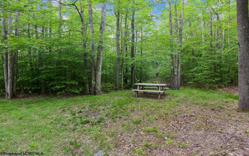 2256 Cabin Mountain Road, Davis, West Virginia 26260, 5 Bedrooms Bedrooms, 10 Rooms Rooms,3 BathroomsBathrooms,Single Family Detached,For Sale,Cabin Mountain,10165270