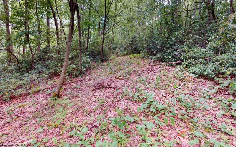LOT 103 Redwood Drive, Terra Alta, West Virginia 26764, ,Lots/land,For Sale,Redwood,10165278