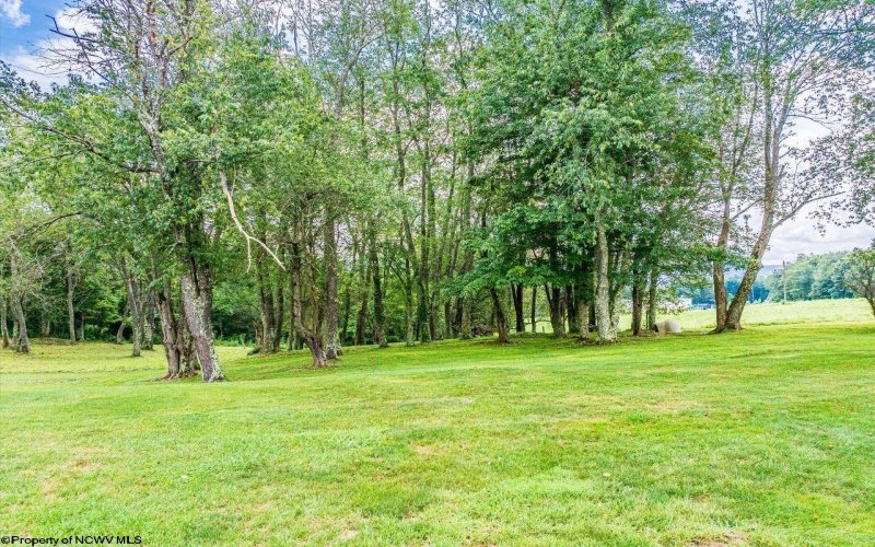 000 Highland Street, Kingwood, West Virginia 26537, ,Lots/land,For Sale,Highland,10165268