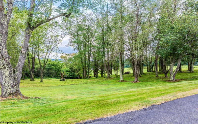 000 Highland Street, Kingwood, West Virginia 26537, ,Lots/land,For Sale,Highland,10165268
