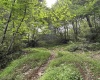 1328 Moyers Road, Bruceton Mills, West Virginia 26525, ,Lots/land,For Sale,Moyers,10165263