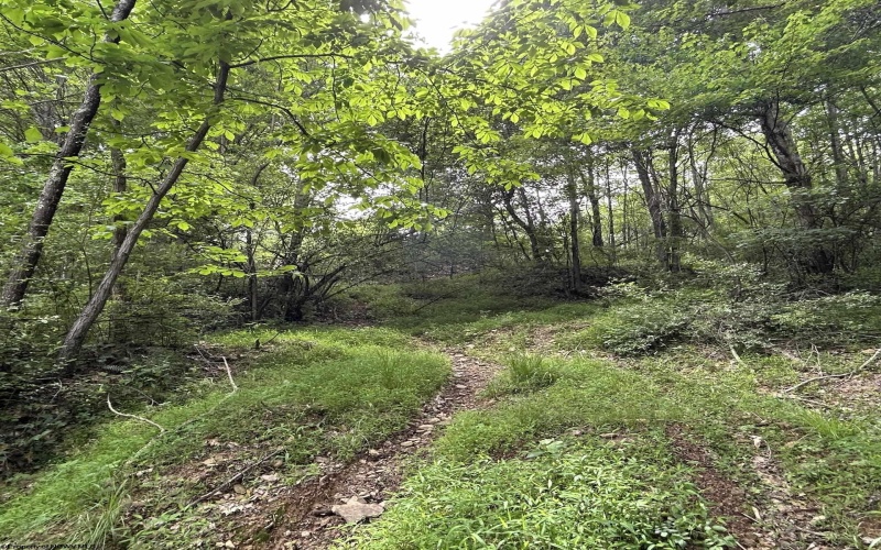 1328 Moyers Road, Bruceton Mills, West Virginia 26525, ,Lots/land,For Sale,Moyers,10165263
