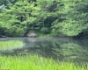 1328 Moyers Road, Bruceton Mills, West Virginia 26525, ,Lots/land,For Sale,Moyers,10165263