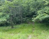 1328 Moyers Road, Bruceton Mills, West Virginia 26525, ,Lots/land,For Sale,Moyers,10165263