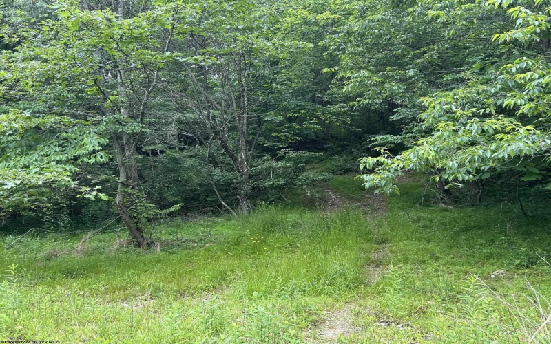 1328 Moyers Road, Bruceton Mills, West Virginia 26525, ,Lots/land,For Sale,Moyers,10165263