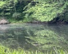 1328 Moyers Road, Bruceton Mills, West Virginia 26525, ,Lots/land,For Sale,Moyers,10165263