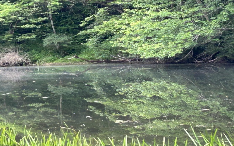 1328 Moyers Road, Bruceton Mills, West Virginia 26525, ,Lots/land,For Sale,Moyers,10165263