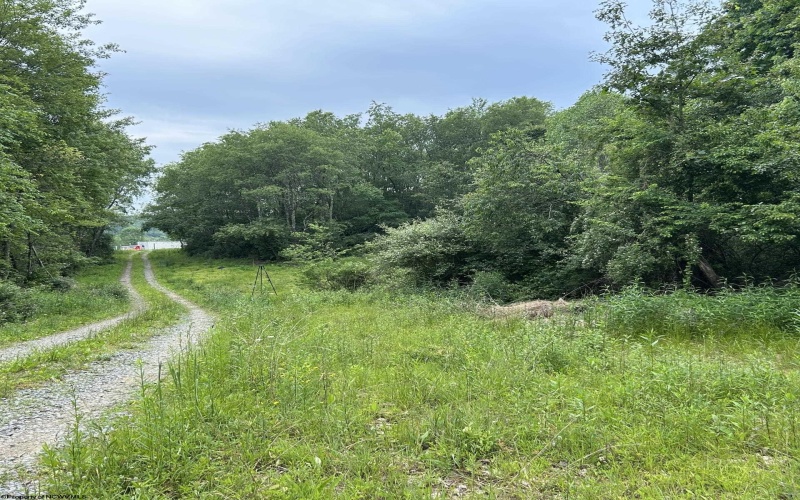 1328 Moyers Road, Bruceton Mills, West Virginia 26525, ,Lots/land,For Sale,Moyers,10165263