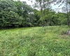 1328 Moyers Road, Bruceton Mills, West Virginia 26525, ,Lots/land,For Sale,Moyers,10165263