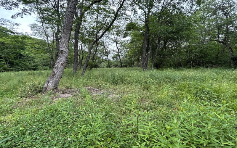 1328 Moyers Road, Bruceton Mills, West Virginia 26525, ,Lots/land,For Sale,Moyers,10165263