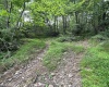 1328 Moyers Road, Bruceton Mills, West Virginia 26525, ,Lots/land,For Sale,Moyers,10165263