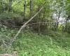 1328 Moyers Road, Bruceton Mills, West Virginia 26525, ,Lots/land,For Sale,Moyers,10165263