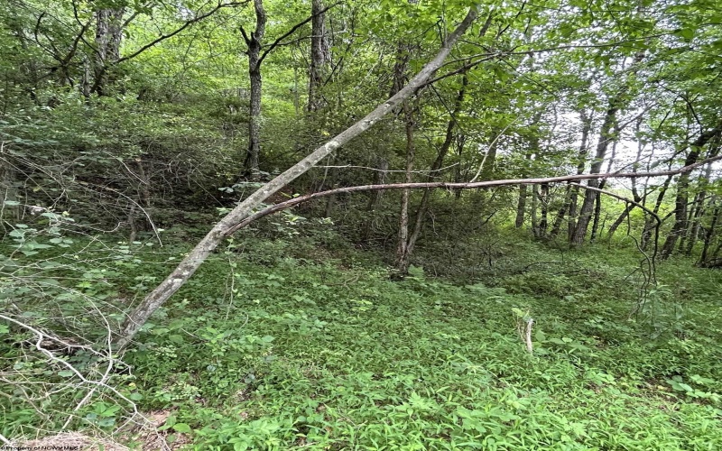 1328 Moyers Road, Bruceton Mills, West Virginia 26525, ,Lots/land,For Sale,Moyers,10165263