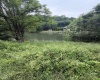 TBD Hickory Avenue, Fairmont, West Virginia 26554, ,Lots/land,For Sale,Hickory,10165275