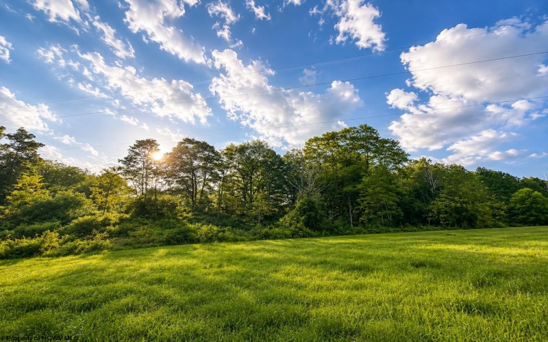 Lot 3 Iron Horse Lane, Dryfork, West Virginia 26263, ,Lots/land,For Sale,Iron Horse,10165281