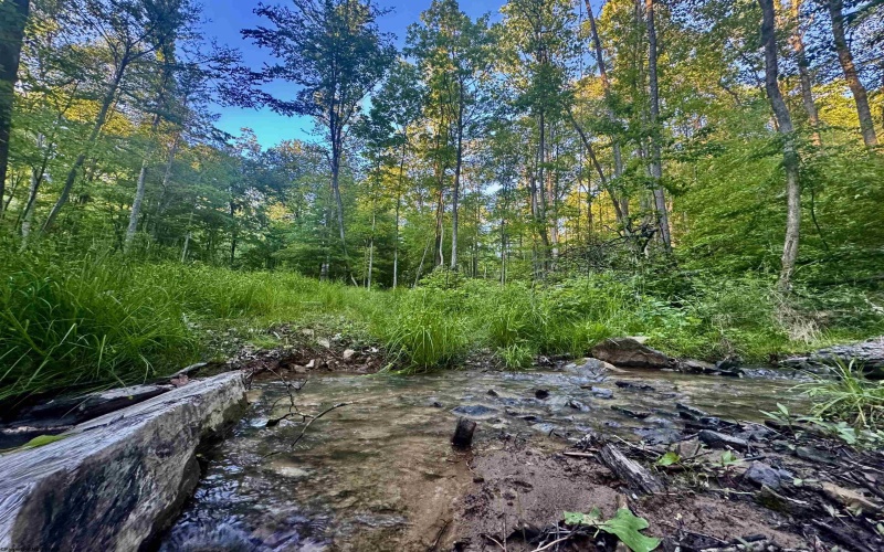 Tract B John Orr Road, Independence, West Virginia 26374, ,Lots/land,For Sale,John Orr,10165314 Tract B John Orr Road, Independence, West Virginia 26374, ,Lots/land,For Sale,John Orr,10165314