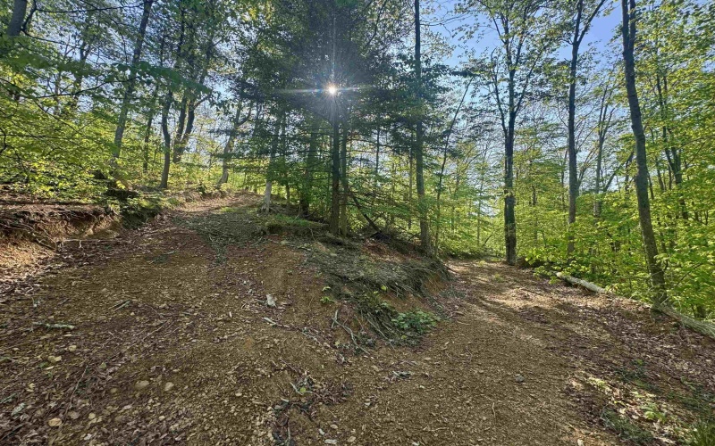 Tract B John Orr Road, Independence, West Virginia 26374, ,Lots/land,For Sale,John Orr,10165314 Tract B John Orr Road, Independence, West Virginia 26374, ,Lots/land,For Sale,John Orr,10165314