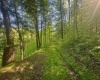 Tract B John Orr Road, Independence, West Virginia 26374, ,Lots/land,For Sale,John Orr,10165314 Tract B John Orr Road, Independence, West Virginia 26374, ,Lots/land,For Sale,John Orr,10165314