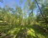 Tract B John Orr Road, Independence, West Virginia 26374, ,Lots/land,For Sale,John Orr,10165314 Tract B John Orr Road, Independence, West Virginia 26374, ,Lots/land,For Sale,John Orr,10165314