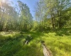 Tract B John Orr Road, Independence, West Virginia 26374, ,Lots/land,For Sale,John Orr,10165314 Tract B John Orr Road, Independence, West Virginia 26374, ,Lots/land,For Sale,John Orr,10165314