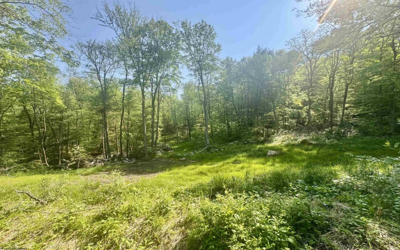 Tract B John Orr Road, Independence, West Virginia 26374, ,Lots/land,For Sale,John Orr,10165314 Tract B John Orr Road, Independence, West Virginia 26374, ,Lots/land,For Sale,John Orr,10165314